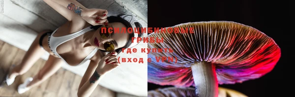ГАЛЛЮЦИНОГЕННЫЕ ГРИБЫ Балабаново