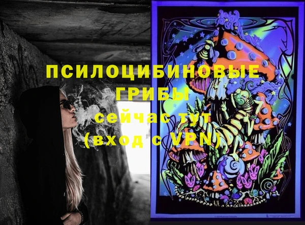 гашик Алексин