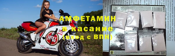ГАЛЛЮЦИНОГЕННЫЕ ГРИБЫ Баксан