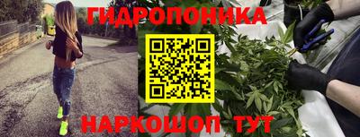 наркотики Пугачёв
