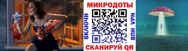 что такое   Саки  Псилоцибиновые грибы Cubensis 