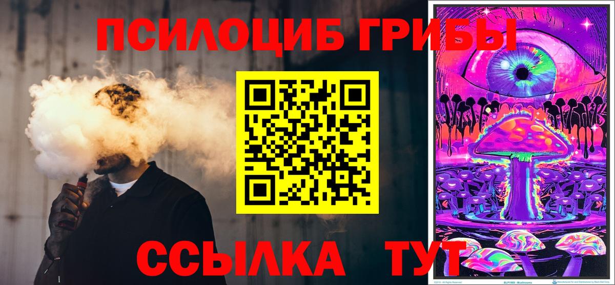 Саки  Псилоцибиновые грибы прущие грибы  Вход с VPN 