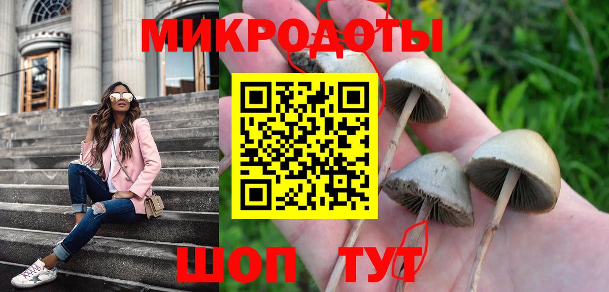 Псилоцибиновые грибы мухоморы Саки